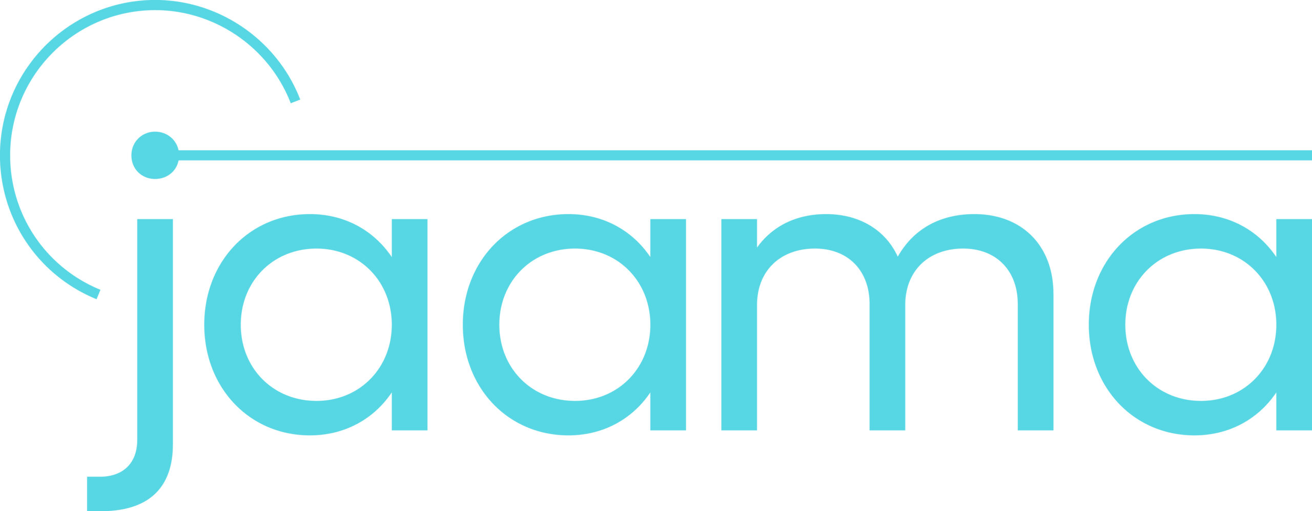 Our Premium Sponsors